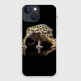 Чехол для iPhone 13 mini с принтом ЭУБЛЕФАР  EUBLEPHARIS в Новосибирске,  |  | tegunvteg | геккон | гекон | зублефар | леопардовый геккон | эу | эублефар | ящерица