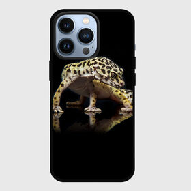 Чехол для iPhone 13 Pro с принтом ЭУБЛЕФАР  EUBLEPHARIS в Новосибирске,  |  | tegunvteg | геккон | гекон | зублефар | леопардовый геккон | эу | эублефар | ящерица