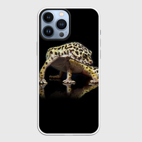 Чехол для iPhone 13 Pro Max с принтом ЭУБЛЕФАР  EUBLEPHARIS в Новосибирске,  |  | tegunvteg | геккон | гекон | зублефар | леопардовый геккон | эу | эублефар | ящерица