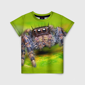 Детская футболка 3D с принтом ПАУК МАКРО в Новосибирске, 100% гипоаллергенный полиэфир | прямой крой, круглый вырез горловины, длина до линии бедер, чуть спущенное плечо, ткань немного тянется | tegunvteg | глаза | животные | макро | насекомые | паук | природа