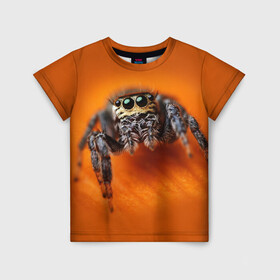Детская футболка 3D с принтом ПАУК  SPIDER в Новосибирске, 100% гипоаллергенный полиэфир | прямой крой, круглый вырез горловины, длина до линии бедер, чуть спущенное плечо, ткань немного тянется | tegunvteg | глаза | животные | макро | насекомые | паук | природа