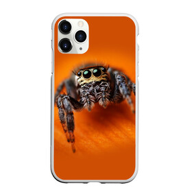 Чехол для iPhone 11 Pro матовый с принтом ПАУК  SPIDER в Новосибирске, Силикон |  | tegunvteg | глаза | животные | макро | насекомые | паук | природа