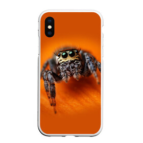 Чехол для iPhone XS Max матовый с принтом ПАУК  SPIDER в Новосибирске, Силикон | Область печати: задняя сторона чехла, без боковых панелей | tegunvteg | глаза | животные | макро | насекомые | паук | природа