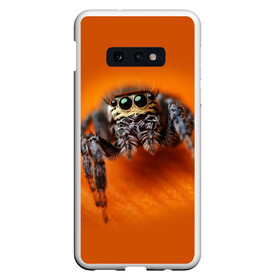 Чехол для Samsung S10E с принтом ПАУК  SPIDER в Новосибирске, Силикон | Область печати: задняя сторона чехла, без боковых панелей | tegunvteg | глаза | животные | макро | насекомые | паук | природа