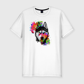 Мужская футболка хлопок Slim с принтом собака с торчащими ушами в Новосибирске, 92% хлопок, 8% лайкра | приталенный силуэт, круглый вырез ворота, длина до линии бедра, короткий рукав | белый | добрый | красивый | краски | собака | хаски | цвет | цветной | черный