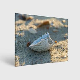 Холст прямоугольный с принтом Морская ракушка в Новосибирске, 100% ПВХ |  | Тематика изображения на принте: морская | морские | песок | пляж | пляжный | ракушка | ракушки
