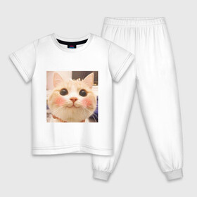 Детская пижама хлопок с принтом Мем про котов в Новосибирске, 100% хлопок |  брюки и футболка прямого кроя, без карманов, на брюках мягкая резинка на поясе и по низу штанин
 | Тематика изображения на принте: белый | кот | мем | милый | прикол