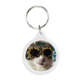 Брелок круглый с принтом Мем про кота в Новосибирске, пластик и полированная сталь | круглая форма, металлическое крепление в виде кольца | Тематика изображения на принте: в очках | киса селфи | кот | мем | милый | прикол