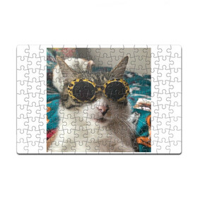 Головоломка Пазл магнитный 126 элементов с принтом Мем про кота в Новосибирске, полимерный материал с магнитным слоем | 126 деталей, размер изделия —  180*270 мм | в очках | киса селфи | кот | мем | милый | прикол
