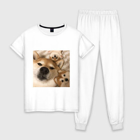 Женская пижама хлопок с принтом Мем про собак в Новосибирске, 100% хлопок | брюки и футболка прямого кроя, без карманов, на брюках мягкая резинка на поясе и по низу штанин | белый | игрушки мягкие | мем | милый | прикол | сиба ину | собака