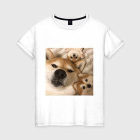 Женская футболка хлопок с принтом Мем про собак в Новосибирске, 100% хлопок | прямой крой, круглый вырез горловины, длина до линии бедер, слегка спущенное плечо | белый | игрушки мягкие | мем | милый | прикол | сиба ину | собака