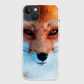 Чехол для iPhone 13 с принтом Мордочка лисы в Новосибирске,  |  | fox | foxy | животное | звери | лиса | лисенок | лисичка | милая | рыжая | фокс
