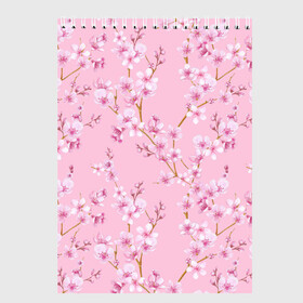 Скетчбук с принтом Цветущая розовая вишня в Новосибирске, 100% бумага
 | 48 листов, плотность листов — 100 г/м2, плотность картонной обложки — 250 г/м2. Листы скреплены сверху удобной пружинной спиралью | Тематика изображения на принте: cherry blossom | sakura | азия | весна | ветки | вишня | для девушки | женский | милый | нежный | природа | розовый | сакура | цветение | цветочный принт | цветущая вишня | цветущие ветки | цветущий миндаль