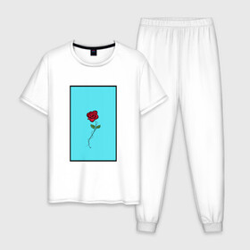 Мужская пижама хлопок с принтом Одинокая роза в Новосибирске, 100% хлопок | брюки и футболка прямого кроя, без карманов, на брюках мягкая резинка на поясе и по низу штанин
 | Тематика изображения на принте: rose | колючая проволока | колючки | роза | шипы