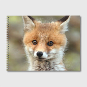 Альбом для рисования с принтом Миленький лисенок в Новосибирске, 100% бумага
 | матовая бумага, плотность 200 мг. | fox | foxy | животное | звери | лиса | лисенок | лисичка | милая | рыжая | фокс