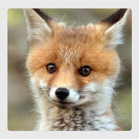 Магнитный плакат 3Х3 с принтом Миленький лисенок в Новосибирске, Полимерный материал с магнитным слоем | 9 деталей размером 9*9 см | fox | foxy | животное | звери | лиса | лисенок | лисичка | милая | рыжая | фокс