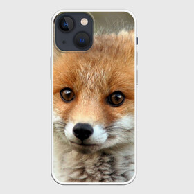 Чехол для iPhone 13 mini с принтом Миленький лисенок в Новосибирске,  |  | fox | foxy | животное | звери | лиса | лисенок | лисичка | милая | рыжая | фокс