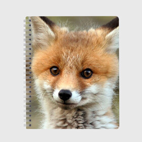 Тетрадь с принтом Миленький лисенок в Новосибирске, 100% бумага | 48 листов, плотность листов — 60 г/м2, плотность картонной обложки — 250 г/м2. Листы скреплены сбоку удобной пружинной спиралью. Уголки страниц и обложки скругленные. Цвет линий — светло-серый
 | fox | foxy | животное | звери | лиса | лисенок | лисичка | милая | рыжая | фокс