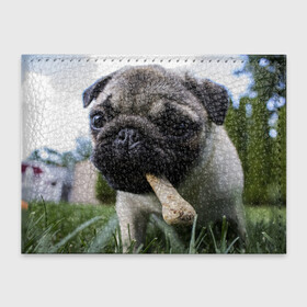 Обложка для студенческого билета с принтом Мопс в Новосибирске, натуральная кожа | Размер: 11*8 см; Печать на всей внешней стороне | Тематика изображения на принте: животное | животные | звери | зверь | мопс | мопсы | питомец | питомцы | природа | собака | собаки | щенки | щенок