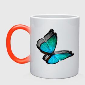 Кружка хамелеон с принтом Бабочка в Новосибирске, керамика | меняет цвет при нагревании, емкость 330 мл | butterfly | бабочка | мечтать не вредно | мечты | надпись | насекомые | природа