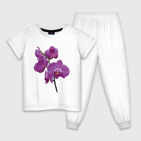 Детская пижама хлопок с принтом Цветущая орхидея в Новосибирске, 100% хлопок |  брюки и футболка прямого кроя, без карманов, на брюках мягкая резинка на поясе и по низу штанин
 | Тематика изображения на принте: phalaenopsis | женственный | красивые цветы | нежные цветы | орхидея | фаленопсис | цветочное настроение | цветы
