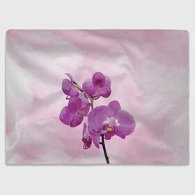 Плед 3D с принтом Нежная орхидея в Новосибирске, 100% полиэстер | закругленные углы, все края обработаны. Ткань не мнется и не растягивается | blossom | nature | orchid | женственность | красивые цветы | орхидеи | орхидея | фаленопсис