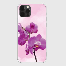 Чехол для iPhone 12 Pro Max с принтом Нежная орхидея в Новосибирске, Силикон |  | blossom | nature | orchid | женственность | красивые цветы | орхидеи | орхидея | фаленопсис