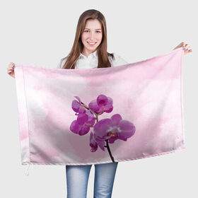 Флаг 3D с принтом Нежная орхидея в Новосибирске, 100% полиэстер | плотность ткани — 95 г/м2, размер — 67 х 109 см. Принт наносится с одной стороны | blossom | nature | orchid | женственность | красивые цветы | орхидеи | орхидея | фаленопсис