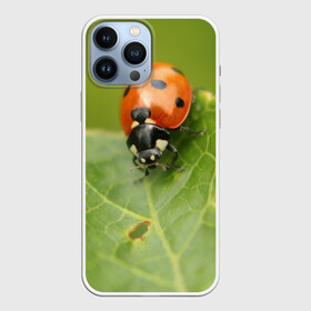 Чехол для iPhone 13 Pro Max с принтом Божья коровка в Новосибирске,  |  | божья | жук | жуки | жучки | жучок | зелень | коровка | лист | листок | листья | насекомое | насекомые | природа | пятнистые | пятнистый | растение | растения | фауна | флора