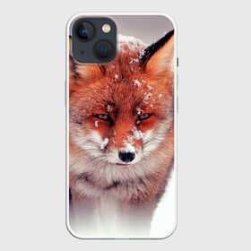 Чехол для iPhone 13 с принтом Лисица и снег в Новосибирске,  |  | fox | foxy | животное | звери | лиса | лисенок | лисичка | милая | рыжая | фокс