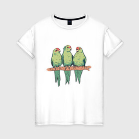 Женская футболка хлопок с принтом Попугайчики на ветке в Новосибирске, 100% хлопок | прямой крой, круглый вырез горловины, длина до линии бедер, слегка спущенное плечо | art | nature | on a branch | parrot | parrots | red crowned parakeets | арт | ветка | иллюстрация | краснолобый прыгающий попугай | милые попугаи | попуг | попугаевые | попугай | попугчик | принт с попугаями | природа