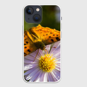 Чехол для iPhone 13 mini с принтом Бабочка и ромашка в Новосибирске,  |  | бабочка | макро | насекомые | ромашка | цветы