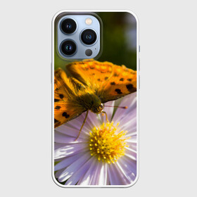 Чехол для iPhone 13 Pro с принтом Бабочка и ромашка в Новосибирске,  |  | бабочка | макро | насекомые | ромашка | цветы