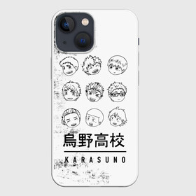 Чехол для iPhone 13 mini с принтом Команда школы Карасуно | Haiky в Новосибирске,  |  | anime | haikyu | haikyuu | karasuno | manga | аниме | асахи азумане | волейбол | волейбольный клуб | вороны | карасуно | коши сугавара | манга | рюноске танака | старшая школа | тобио кагеяма | хаику | хаикую | шоё хината