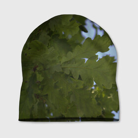Шапка 3D с принтом Летние дубы в Новосибирске, 100% полиэстер | универсальный размер, печать по всей поверхности изделия | дубы | лето | листва | природа