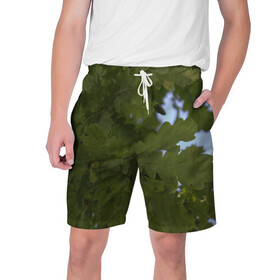 Мужские шорты 3D с принтом Летние дубы в Новосибирске,  полиэстер 100% | прямой крой, два кармана без застежек по бокам. Мягкая трикотажная резинка на поясе, внутри которой широкие завязки. Длина чуть выше колен | дубы | лето | листва | природа
