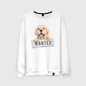 Мужской свитшот хлопок с принтом Dog Wanted в Новосибирске, 100% хлопок |  | cute | dog | wanted | woof | гав | забавный | пес | песель | песик | смешной | собака | собачка | щенок