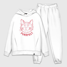 Мужской костюм хлопок OVERSIZE с принтом Purrfect в Новосибирске,  |  | animal | cat | cute | kitty | meow | друг | животные | киска | кися | китти | кот | котенок | котик | котэ | кошечка | кошка | мур | мяу | питомец