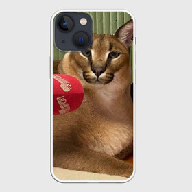 Чехол для iPhone 13 mini с принтом Шлёпа в Новосибирске,  |  | Тематика изображения на принте: floppa | большой | военный | каракал | кот | преступник | русский | шлёпа