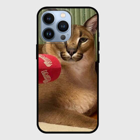 Чехол для iPhone 13 Pro с принтом Шлёпа в Новосибирске,  |  | floppa | большой | военный | каракал | кот | преступник | русский | шлёпа