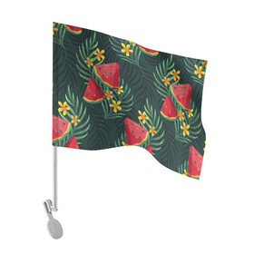 Флаг для автомобиля с принтом Арзуб и папоротник в Новосибирске, 100% полиэстер | Размер: 30*21 см | арбуз | арт | иллюстрация | папоротник | цветок | ягода