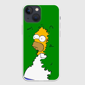 Чехол для iPhone 13 mini с принтом Мем с Гомером в Новосибирске,  |  | gomer | mem | simpsons | the simpson | гомер | мем | мемы | мульт | мультфильм | симпсоны