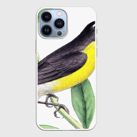 Чехол для iPhone 13 Pro Max с принтом Птица в Новосибирске,  |  | animal | animals | bird | birds | black | blue | colorful | cool | crow | cute | forest | fun | funny | green | mountains | music | nature | pat | pink | raven | retro | tree | vintage | wildlife | yellow | ветка | желтый | животные | листья | природа | п