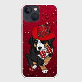 Чехол для iPhone 13 mini с принтом Cool Dog в Новосибирске,  |  | арт | бабочка | графика | животные | звери | кепка | собака