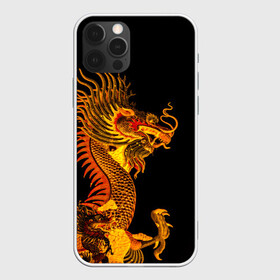Чехол для iPhone 12 Pro с принтом Золотой китайский дракон в Новосибирске, силикон | область печати: задняя сторона чехла, без боковых панелей | Тематика изображения на принте: азиатский дракон | дракон | золотой | золотой азиатский дракон | золотой дракон | золотой китайский дракон | золотой японский дракон | китайский дракон | японский дракон