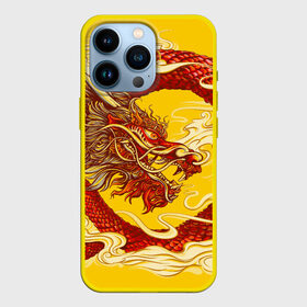 Чехол для iPhone 13 Pro с принтом Китайский Дракон, China Dragon в Новосибирске,  |  | chinese dragon | dhina dragon | dragon | азиатский дракон | восточный дракон | дракон | китайские драконы | китайский дракон | красный дракон | традиционный китайский дракон | японский дракон