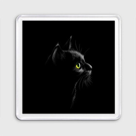 Магнит 55*55 с принтом Черный кот в Новосибирске, Пластик | Размер: 65*65 мм; Размер печати: 55*55 мм | взгляд | глаза | киса | киска | кот | котик | котяра | профиль | пушистый | усы