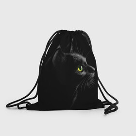 Рюкзак-мешок 3D с принтом Черный кот в Новосибирске, 100% полиэстер | плотность ткани — 200 г/м2, размер — 35 х 45 см; лямки — толстые шнурки, застежка на шнуровке, без карманов и подкладки | взгляд | глаза | киса | киска | кот | котик | котяра | профиль | пушистый | усы