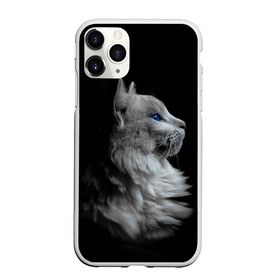 Чехол для iPhone 11 Pro матовый с принтом Голубоглазый гот в Новосибирске, Силикон |  | Тематика изображения на принте: белоснежный | взгляд | глаза | голубоглазый | киса | киска | кот | котик | котяра | профиль | пушистый | усы