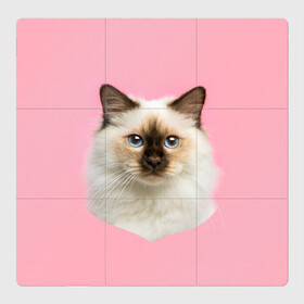 Магнитный плакат 3Х3 с принтом Пушистый кот в Новосибирске, Полимерный материал с магнитным слоем | 9 деталей размером 9*9 см | белоснежный | взгляд | глаза | голубоглазый | киса | киска | кот | котик | котяра | профиль | пушистый | усы | уши